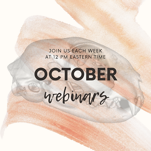 October Peregrine Webinars.png