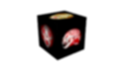 Front-Top-LLat_Cat_Voxel_(NoBackground).