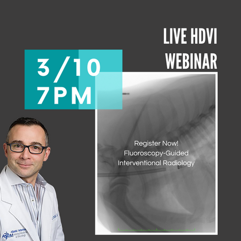 [Live] HDVI: Fluoroscopy-Guided Interventional Radiology using the Vimago