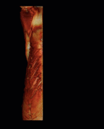 2020-05-04_08-52-01.gif