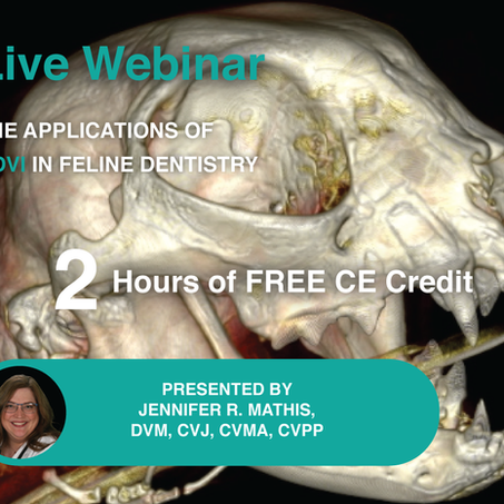 [Live] The Applications of HDVI in Feline Dentistry