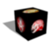 Front-Top-LLat_Cat_Voxel_(NoBackground)_