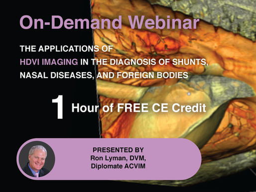 [On-Demand] The Applications of HDVI in the Diagnosis of Shunts, Nasal Diseases, and Foreign Bodies