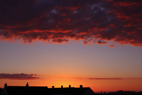 45B6F7E7-CF45-4B8A-9790-2EA8EC4A202D.jpeg