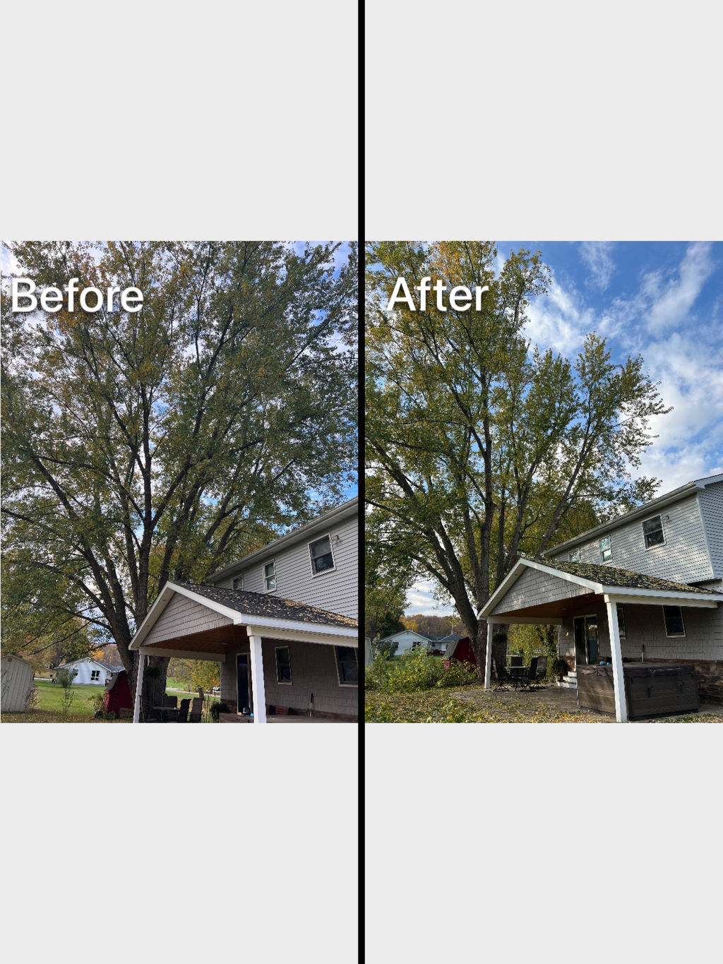 Tree Service Erie Odd Job The Tree Specialist Llc. Erie