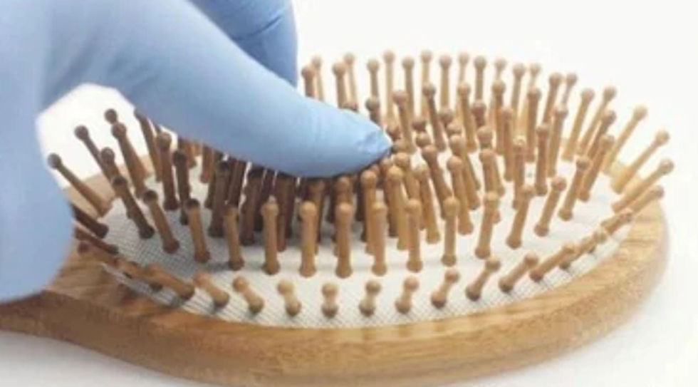 Thumbnail: Wooden Detangling Hair Brush
