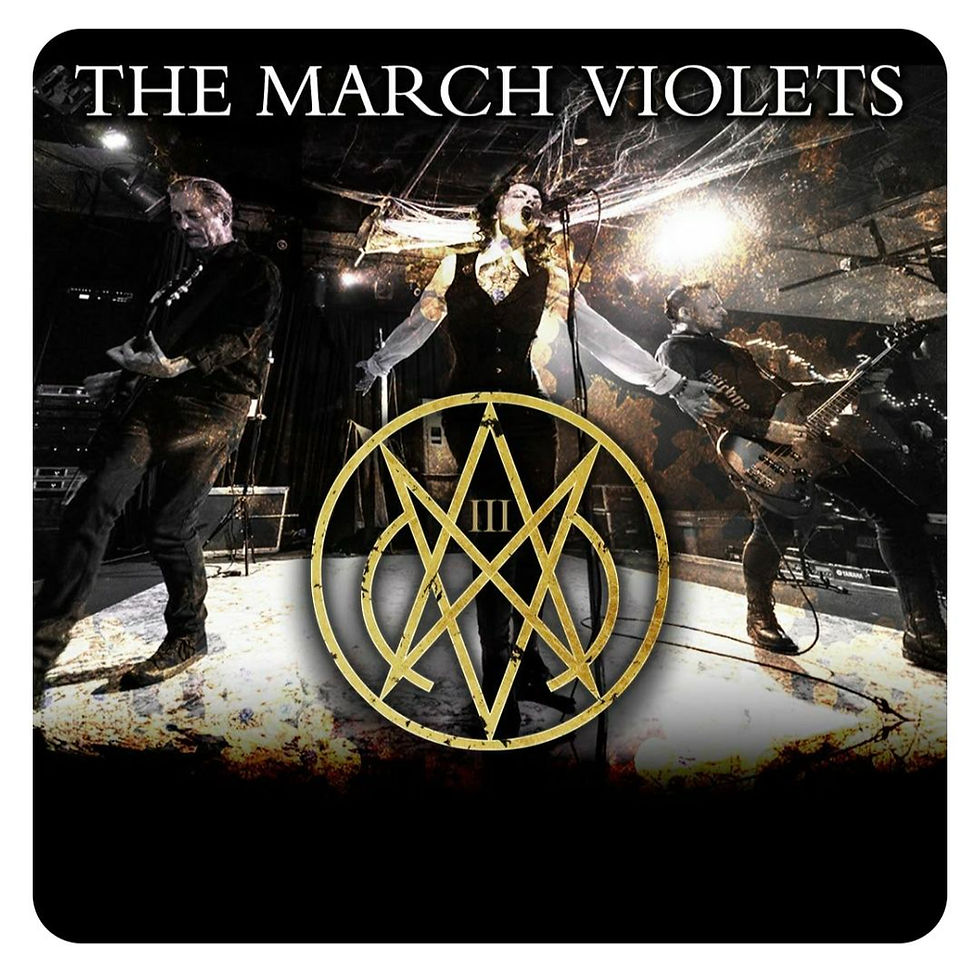 The March Violets + Venus Fly Trap