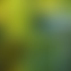 Segurança preventiva ou corretiva: por que esperar falhar sai mais caro em 2026