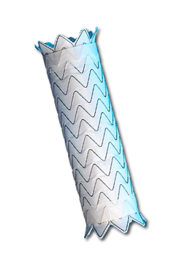 6. Thoracic Aortic Stent-Graft