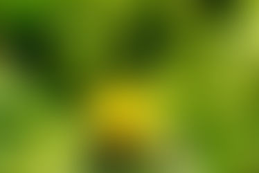 On our way and Catching up!