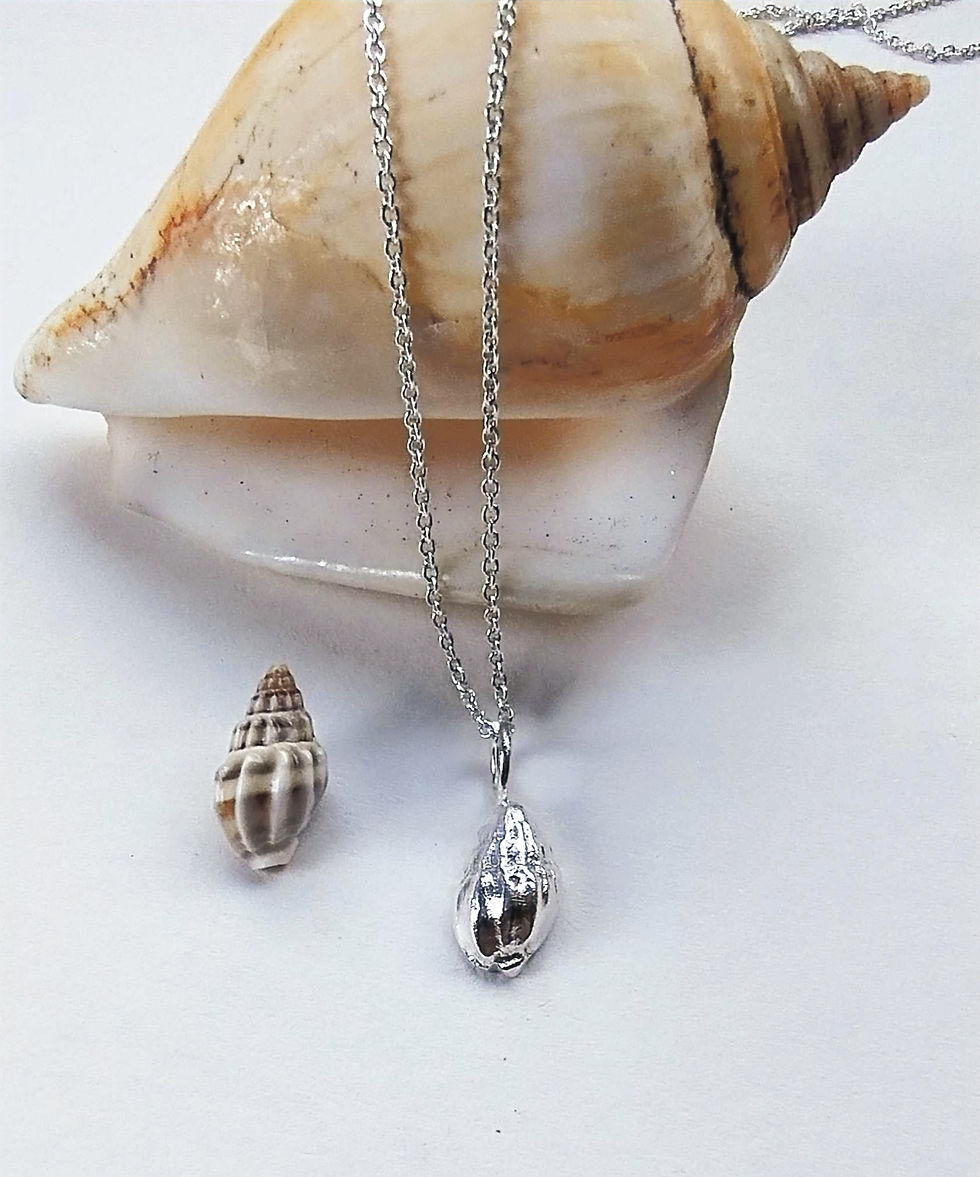 Fine Silver Dainty 'Real' Seashell Necklace