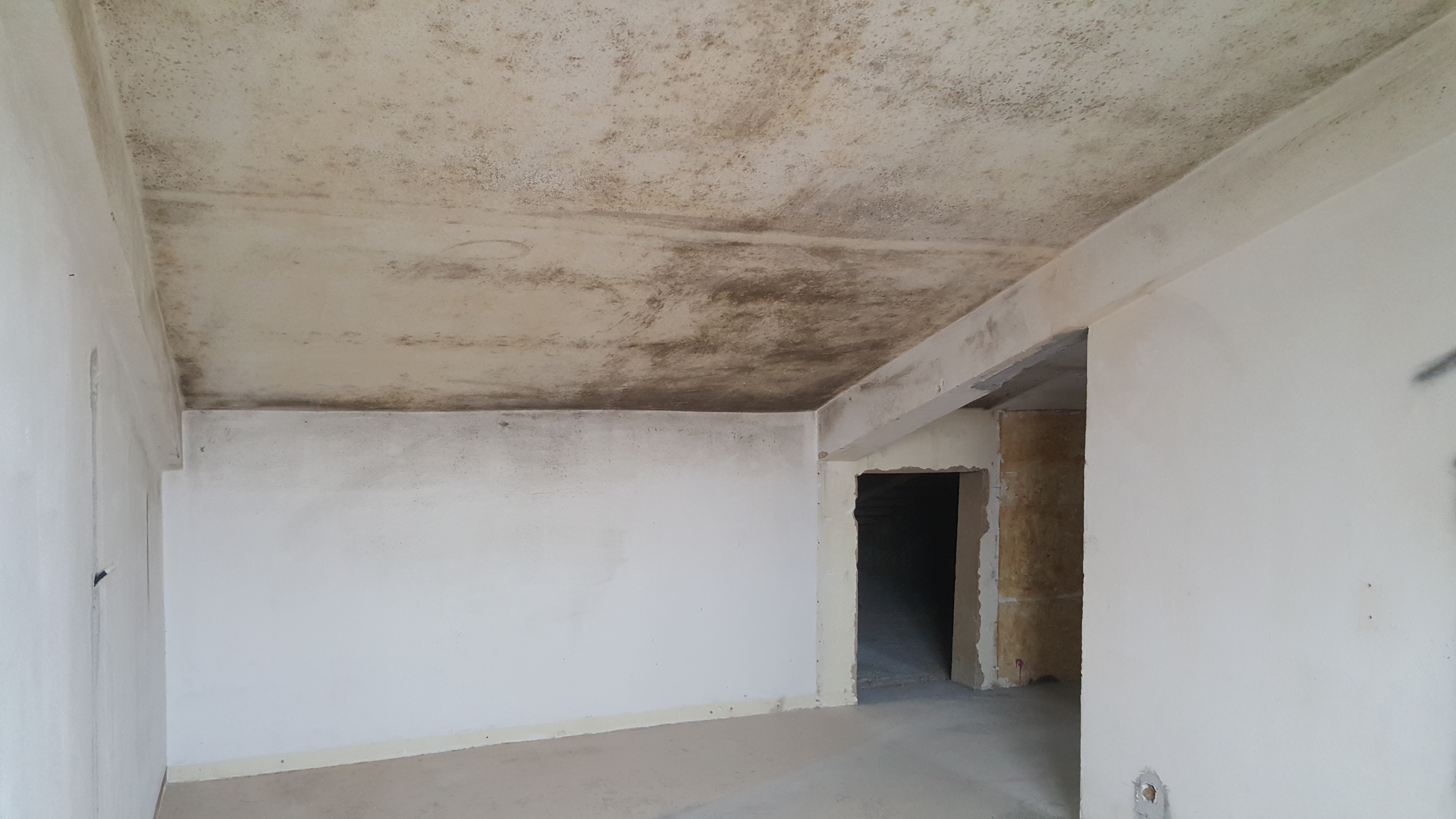 Reabilitação Imóvel Caxias