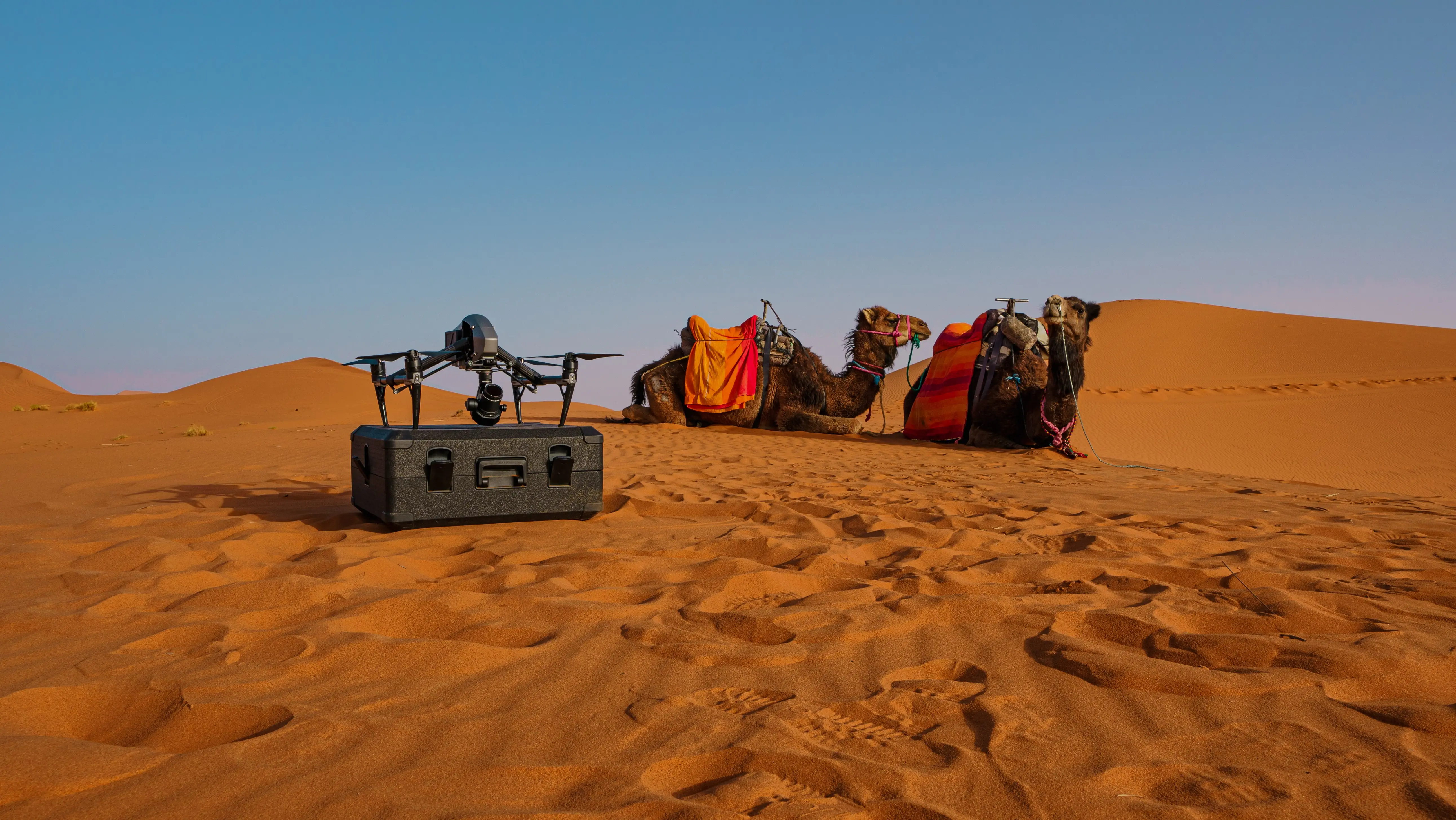 South-Expedition-min.webp