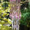 Thumbnail: Rose Gold, Pink, Rose, Champagne Antique Crystal Wind Chime