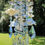 Thumbnail: Antique Blue Roses Crystal Wind Chime
