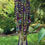 Thumbnail: Vitrail and Purple Antique Crystal Wind Chime