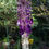 Thumbnail: Purple Antique Crystal Wind Chime