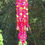 Thumbnail: Vibrant Ruby, Hot Pink, and Lime Green Crystal Sun Catcher