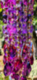 Thumbnail: Purple, Magenta, and Volcano Crystal Sun Catcher
