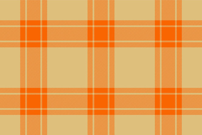 thanksgiving plaid_edited.jpg