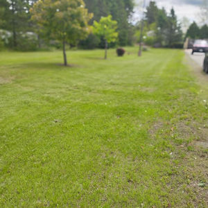 commercial lawn