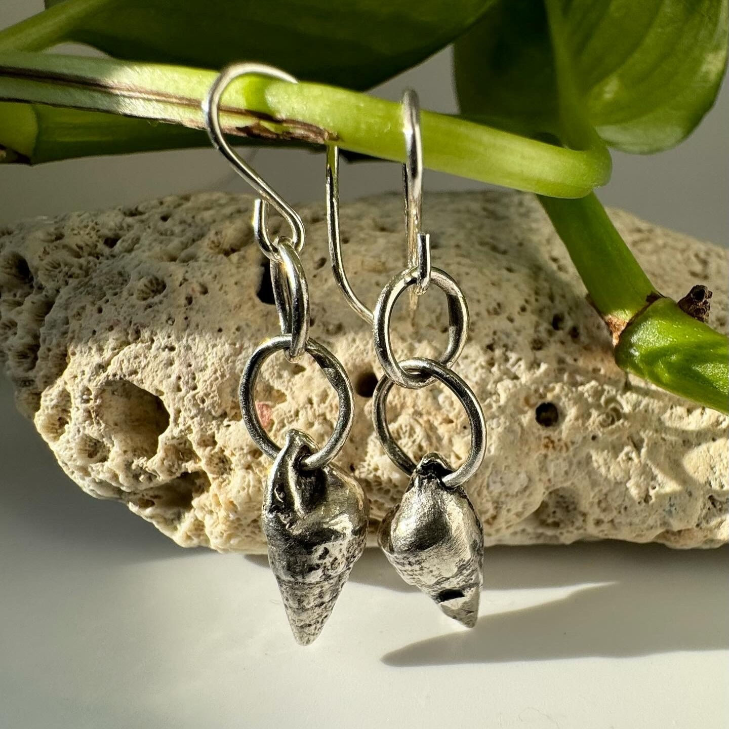 Cone Shell Earrings