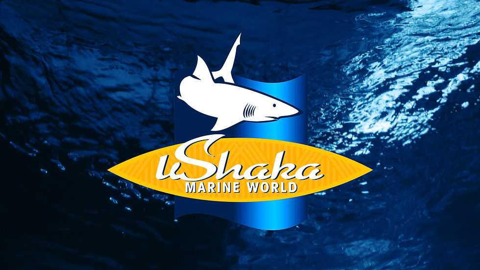 Ushaka Marina world