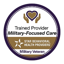 Final_SBHP-002 Web Badges (sdd) 1.7_Veteran Provider.png
