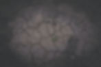 GEHL_environment-10-large.jpg