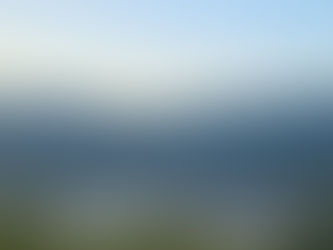 Running Blog Entry #11