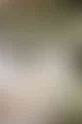 Napa Valley California