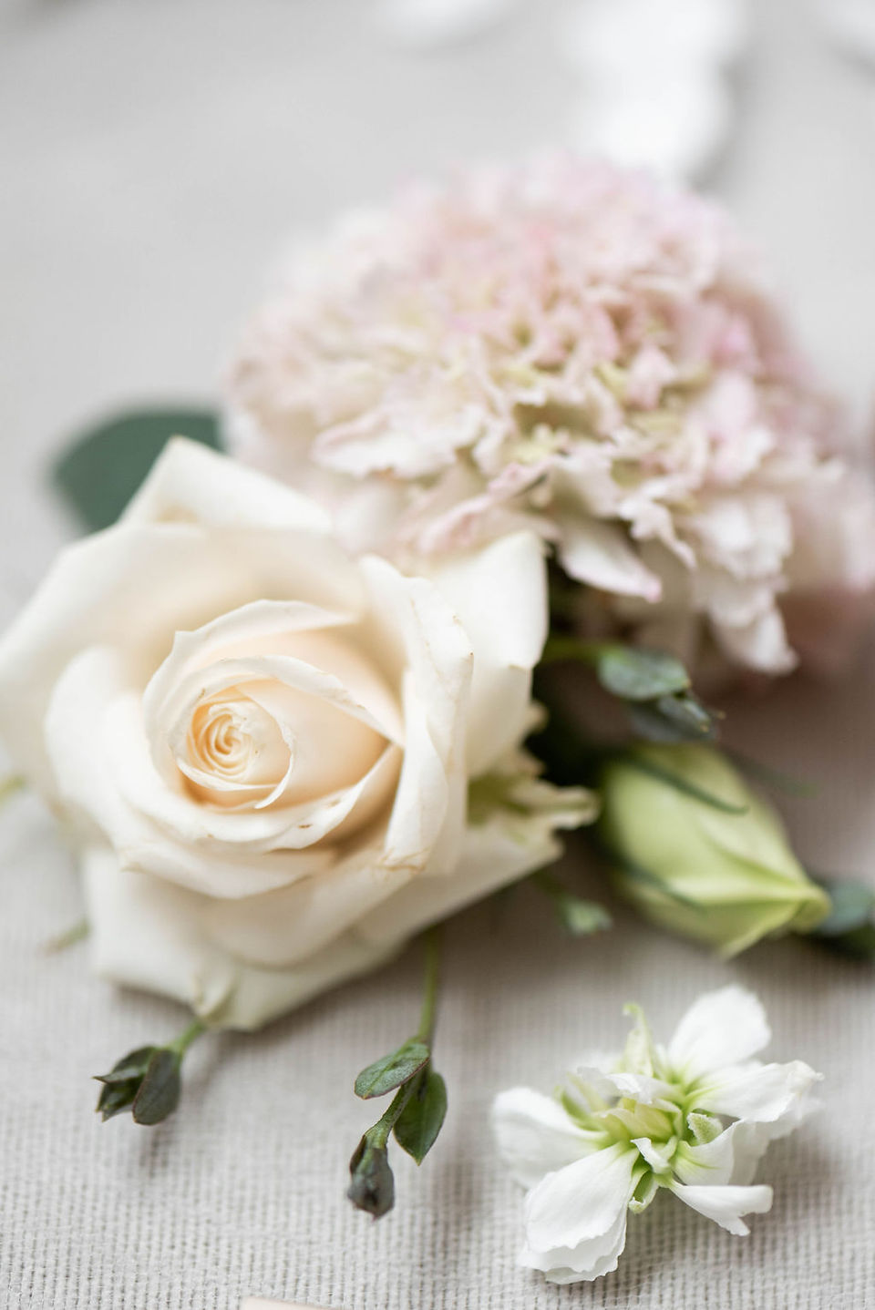 White roses