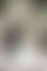 Laurel Hall Indianapolis