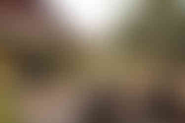 Destination Wedding Planner