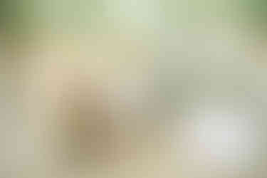 Luxury Hotel Turks and Caicos