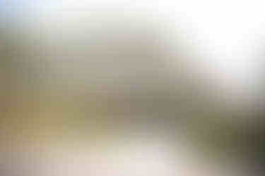 Napa Corporate Retreat