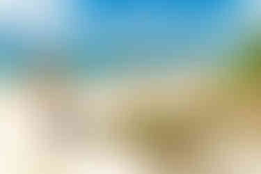 Westfield Travel Agent