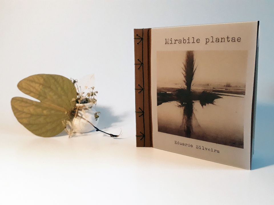 Mirabile plantae