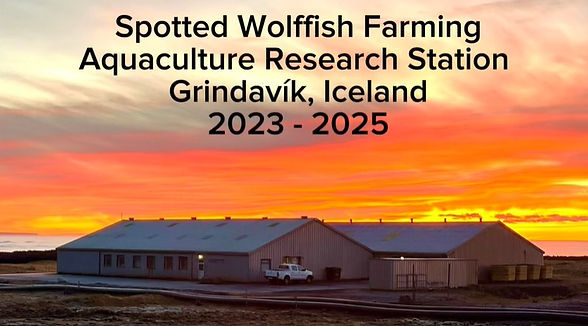 Grindavik picture.jpg
