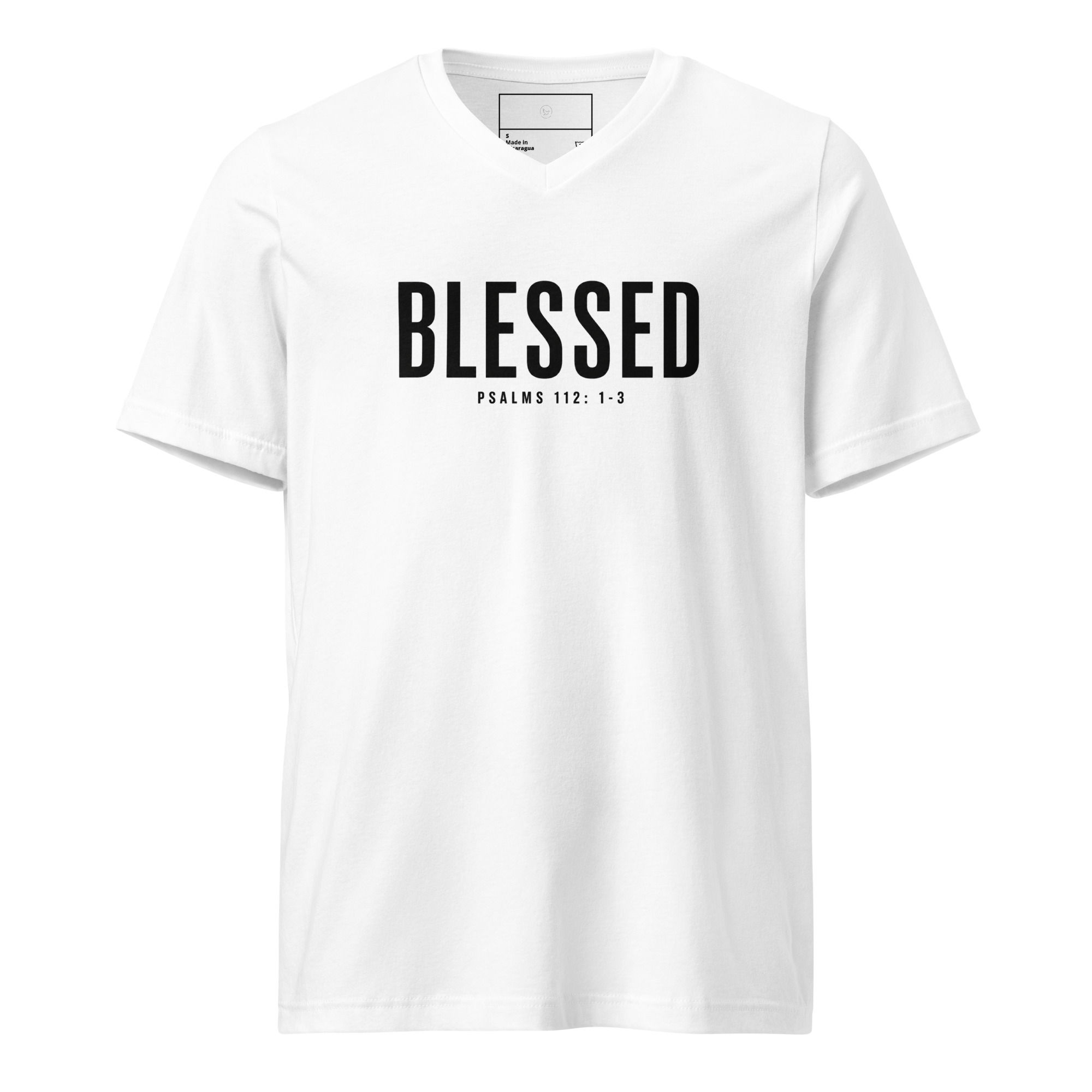 Father's Day Blessed V-Neck Tee (White and Gray)