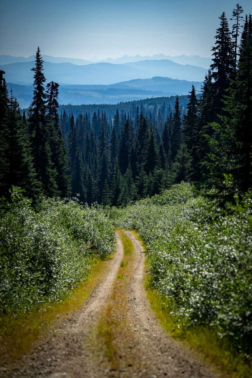 literal road to nowhere