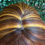 Thumbnail: 8" Synthetic Classic Cap Full Wig One Size Adjustable Straps Color as Shown