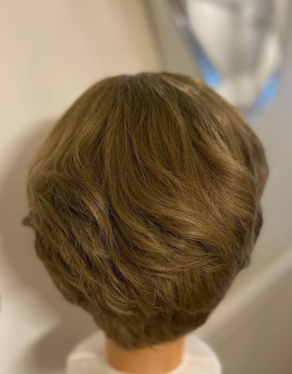Luxury Wigs Outlet 100% Human Hair Lace Front Wig