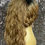 Thumbnail: 13" Human Hair Blend Lace Front Deep Part Wig    ITEM # LWBD30
