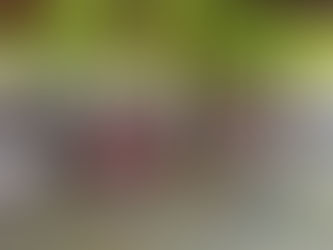 Distribuição de cestas básicas