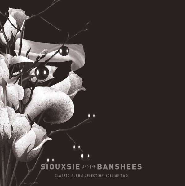 SIOUXSIE AND THE BANSHEES - CLASSIC ALBUM SELECTION VOLUME TWO BOX SET com 6 CD