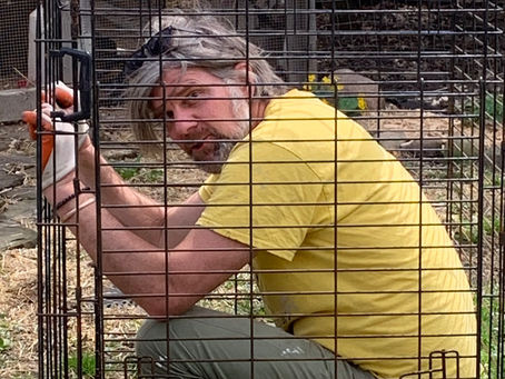 Which came first — the chicken or the egg?