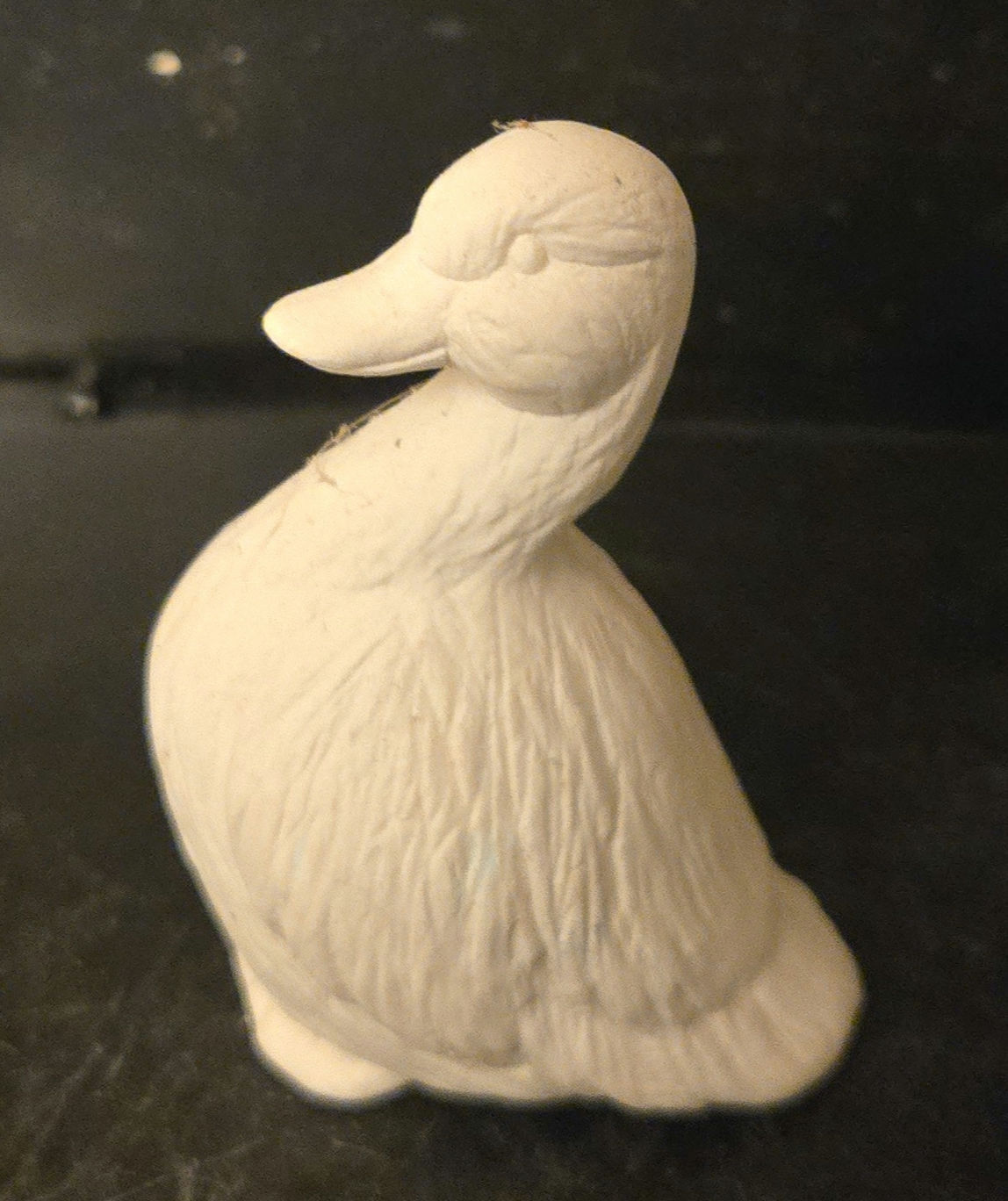 Adult duck 