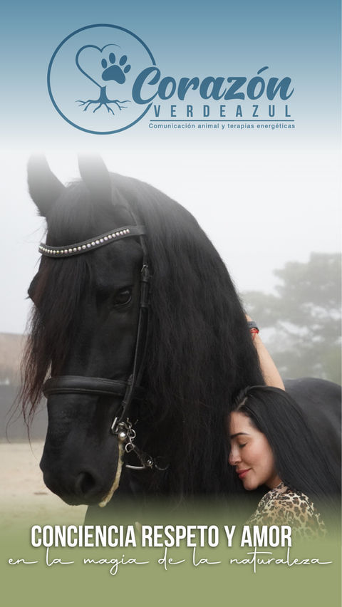 Diseño de marca y post para redes sociales 