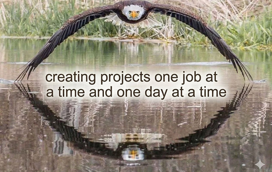 wmc photo eagle.jpg